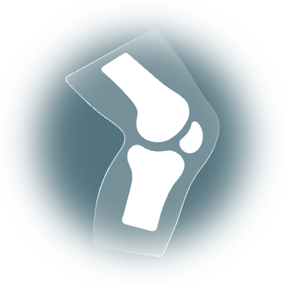 Icon_Knee